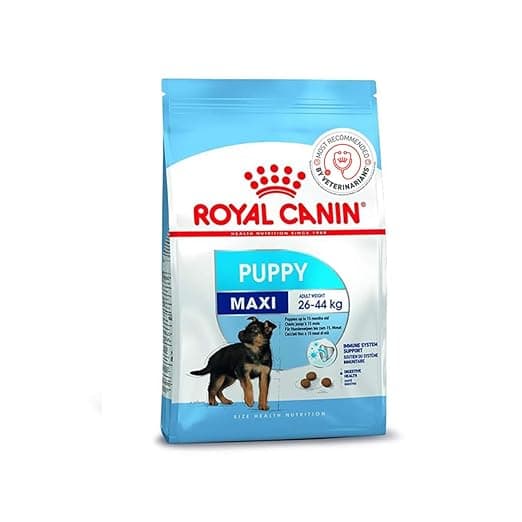 Royal Canin Maxi Puppy Food, 4 Kg, Dry Food, Supports Immune System & digestive health, Provides Long growth, moderate energy