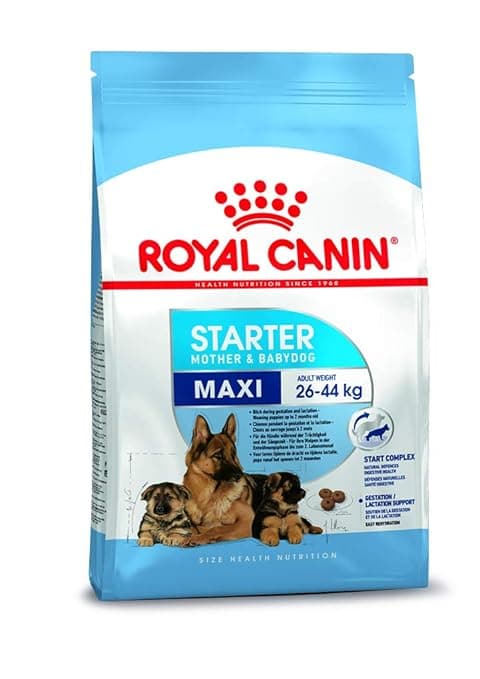 Royal Canin Maxi Starter, Mother & Babydog Food, 1 Kg, Dry Food, Supports Complex Natural Defence & digestive health, Provides Gestation/Lactation Support, Supports Easy rehydration
