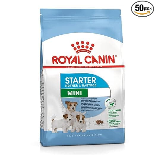 Royal Canin Mini Starter, Mother & Babdog Food, 1 Kg, Dry Food, Supports Complex Natural Defence & digestive health, Provides Gestation/Lactation Support, Supports Easy rehydration