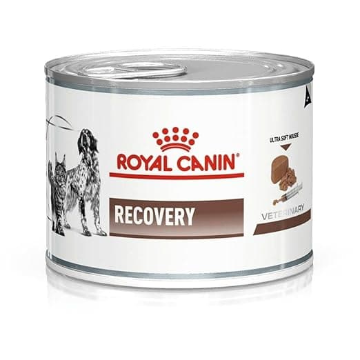 Royal Canin Recovery Bacon Liquid Can for Dogs and Cats, 195 g All Life Stages - View 1