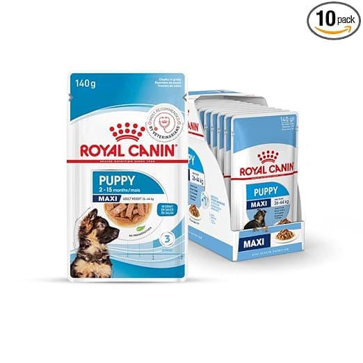 Royal Canin Maxi Puppy Food for Stage 3, 104 Grams, Pack of 10 Sachet, Wet Food, Supports Immune System & digestive health, Provides Long growth, moderate energy