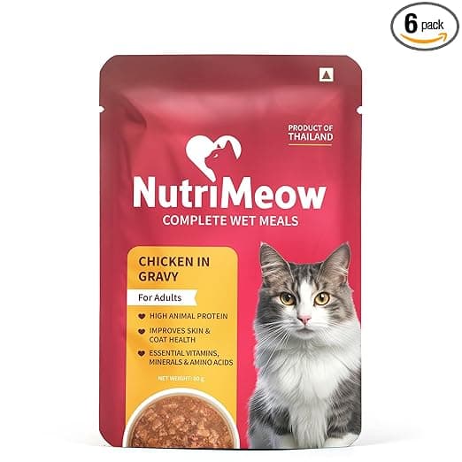 by HUFT Chicken in Gravy Wet Cat Food for Adult Cats - 80gm | Pack of 6 | Rich in Protein | Healthy, Nutritious & Delicious Cat Pouch | Complete Meal | Supports Active & Healthy Lifestyle
