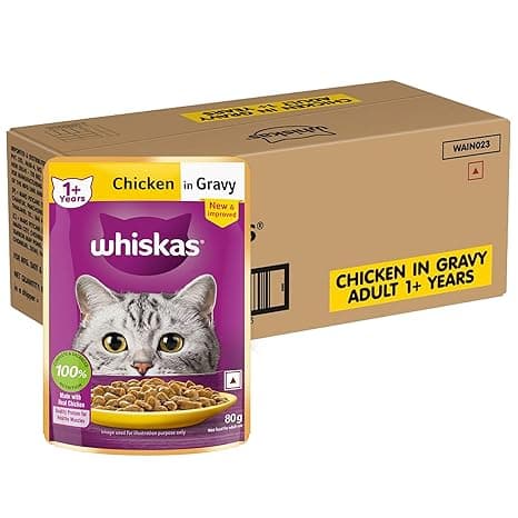 Whiskas Adult (1+ Years) Wet Cat Food, Chicken in Gravy, 80 g (Pack of 56), Hydrating Food Made With Real Chicken, 100% Complete & Balanced Nutrition for Adult Cats