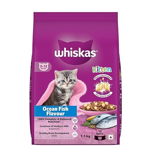 Whiskas Junior Mother Cat & Kitten (2-12 Months) Dry Cat Food, Ocean Fish Flavour, 1.1 kg, Contains 41 Essential Nutrients, Complete & Balanced Nutrition for Mother Cats & Kittens