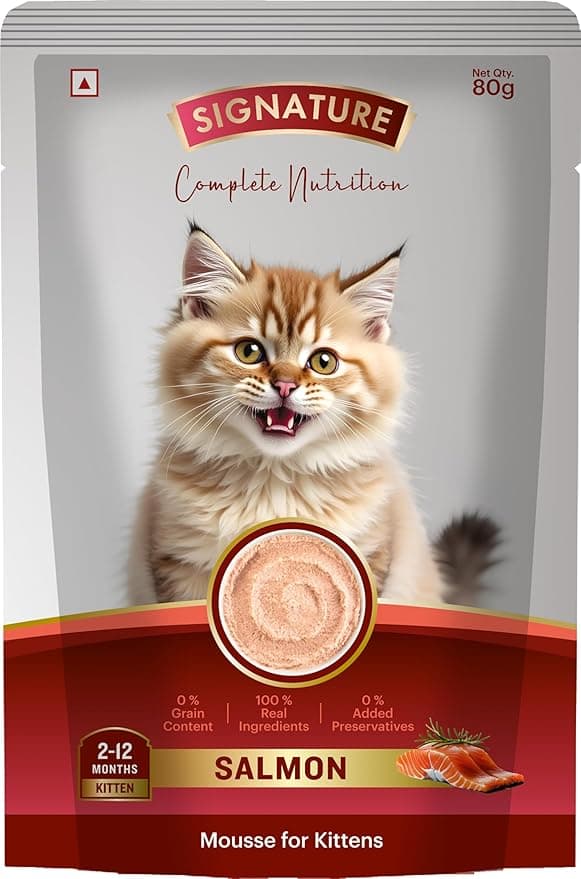 Grain Zero Kitten Cat Wet Mousse 80g | Salmon | Rich in Protein | Promotes Hydration & Easy to Digest | Grain Free | No Artificial Flavours | Packed with Essential Vitamins & Antioxidants