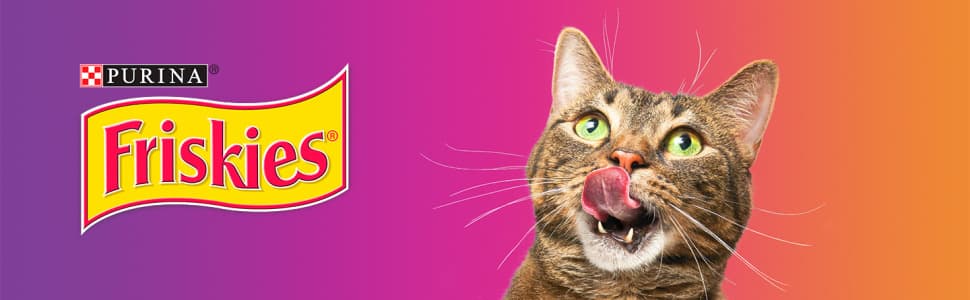4. Purina Friskies