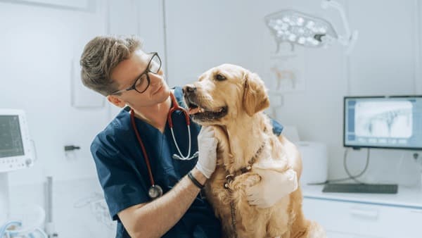 Veterinary Care